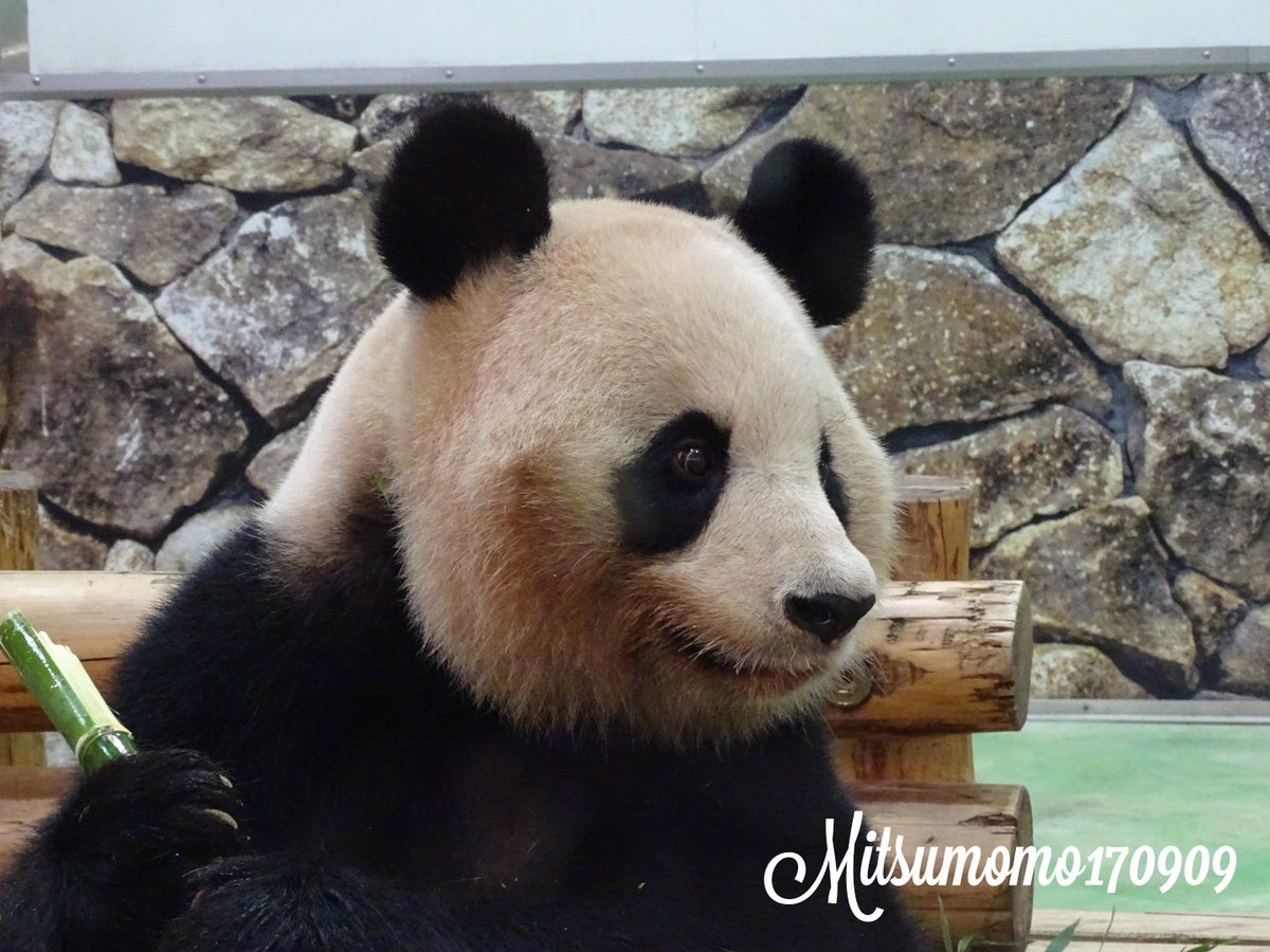 蜜桃 (@mitsumomo170909) / Posts / X