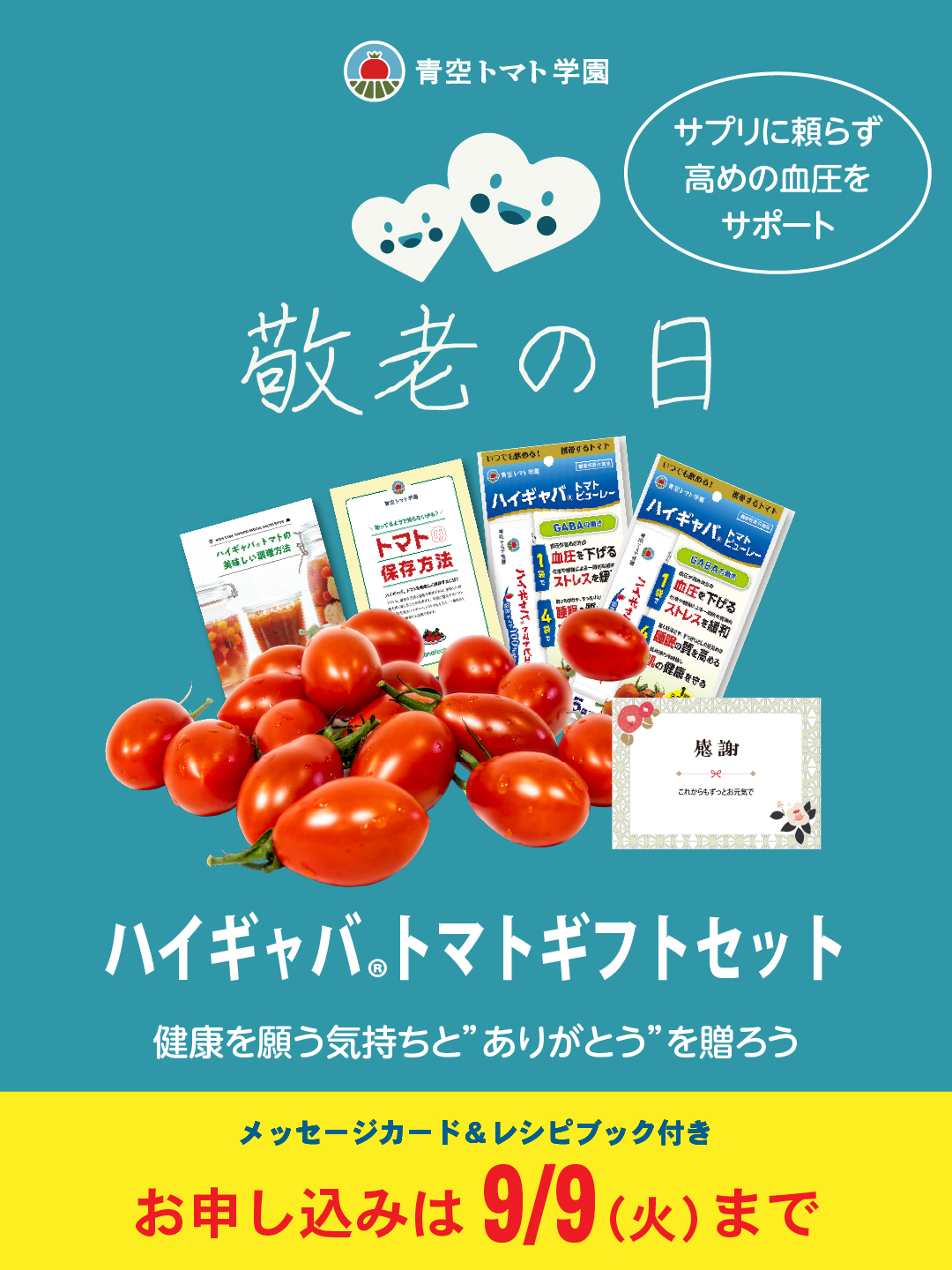 TOMATO　おまとめ商品 高糖度プレミアムミニトマト スイートキューブ 1kg（岐阜県産