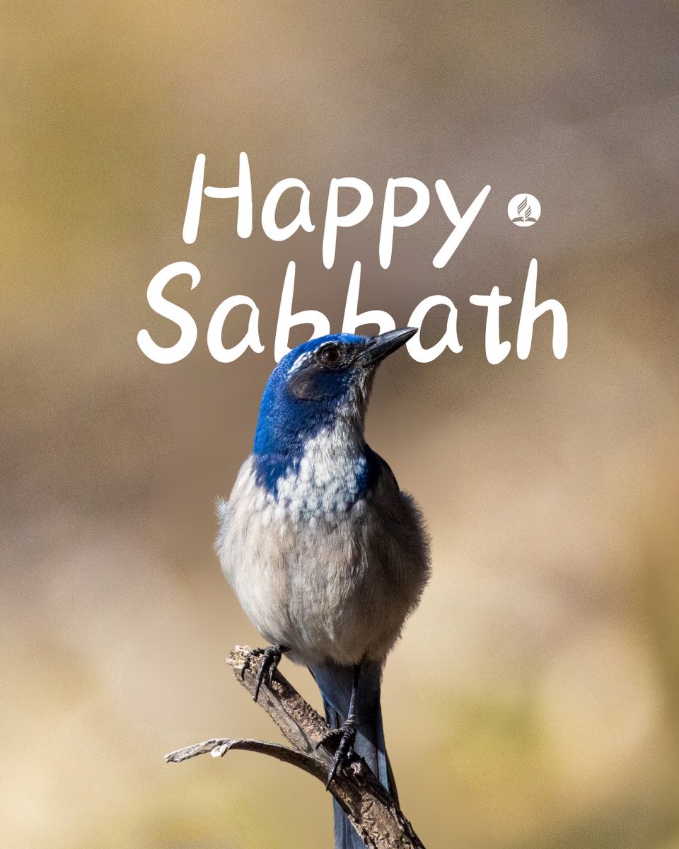 fl_adventists's tweet image. Look at the birds of the air; they do not sow or reap or store away in barns, and yet your heavenly Father feeds them. Are you not much more valuable than they?

Mathew 6:26

#happysabbath #florida #adventists