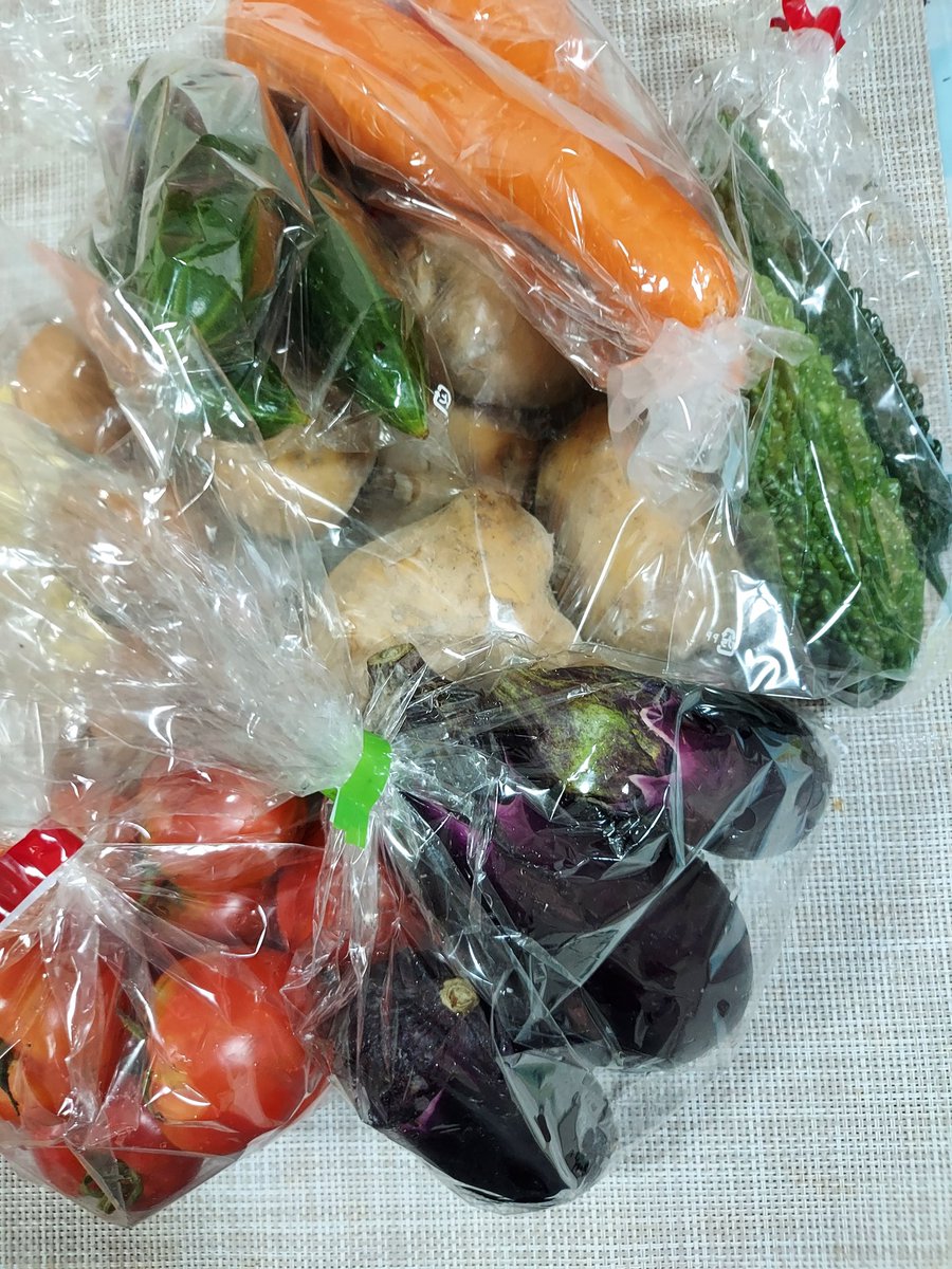 Moco（感謝） ミカクニン 蛍光ふせん(UFO) MN-006 | デザインステーショナリー