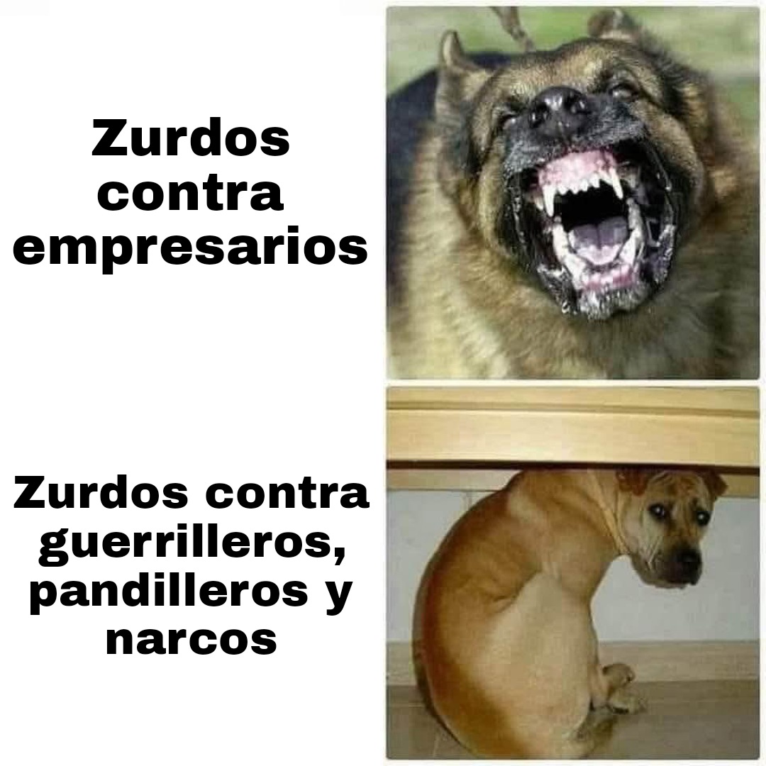 Cada día más canon