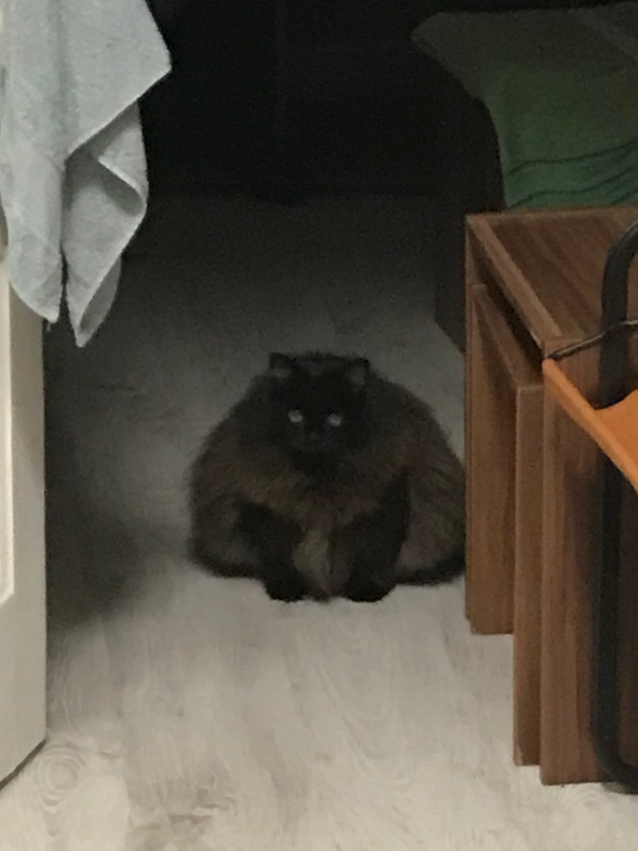 такое ощущение, что мне удалось сфотать НЛО