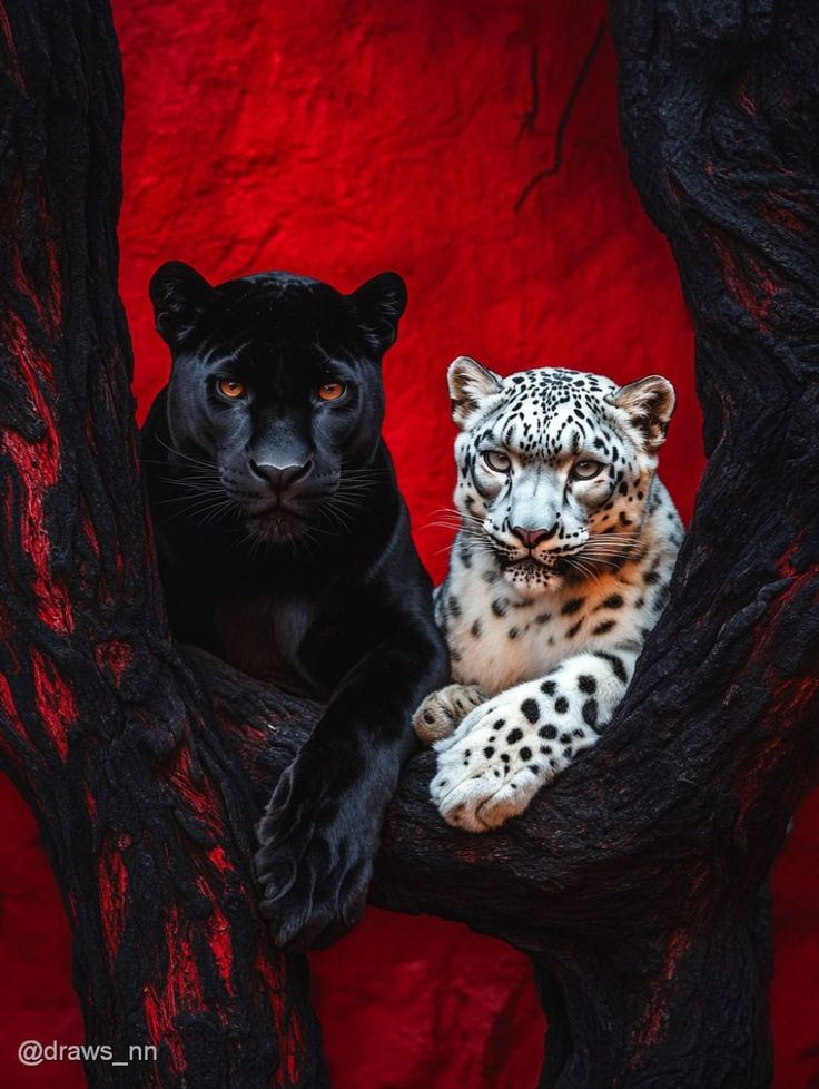 REX (@rexchillect) on Twitter photo 