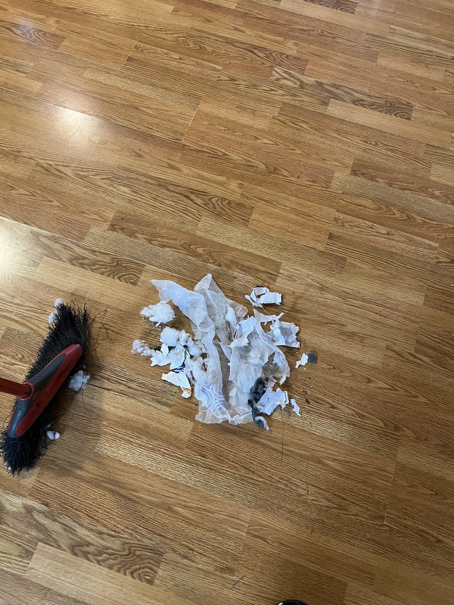 Get a puppie they said. It’ll be fun they said.