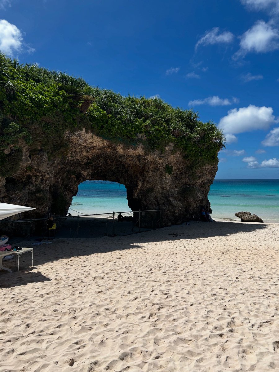 はむな tweet media