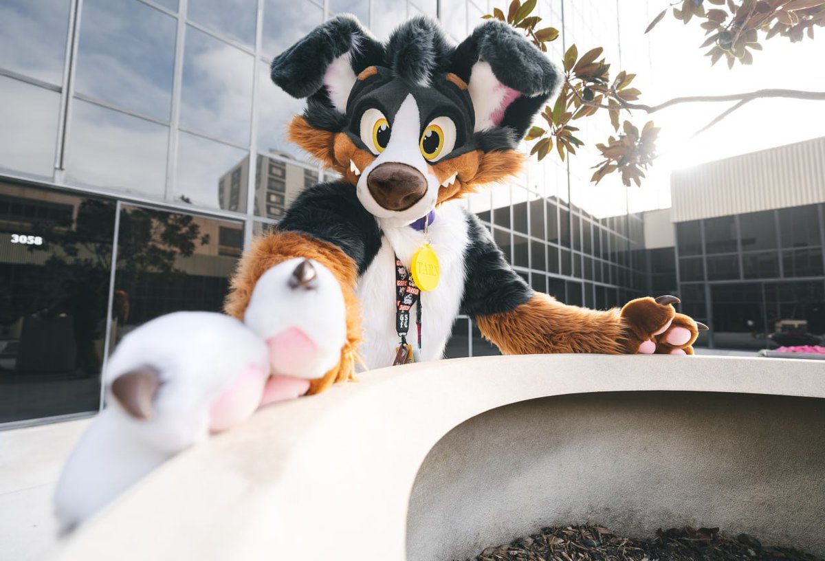 Feeling that puppy energy this #FursuitFriday

🐶 <a href="/TarnPaws/">TarnPaws</a> 
📷 <a href="/_CrowCreations_/">Crow Creations Fur-tography! 🔜 ANW+FC+NFC+TFF+..!</a>