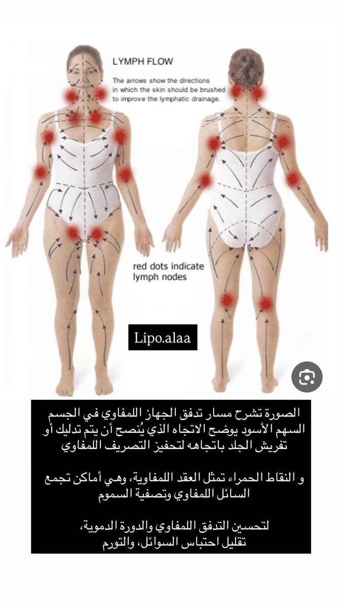 Lipo.alaa tweet media