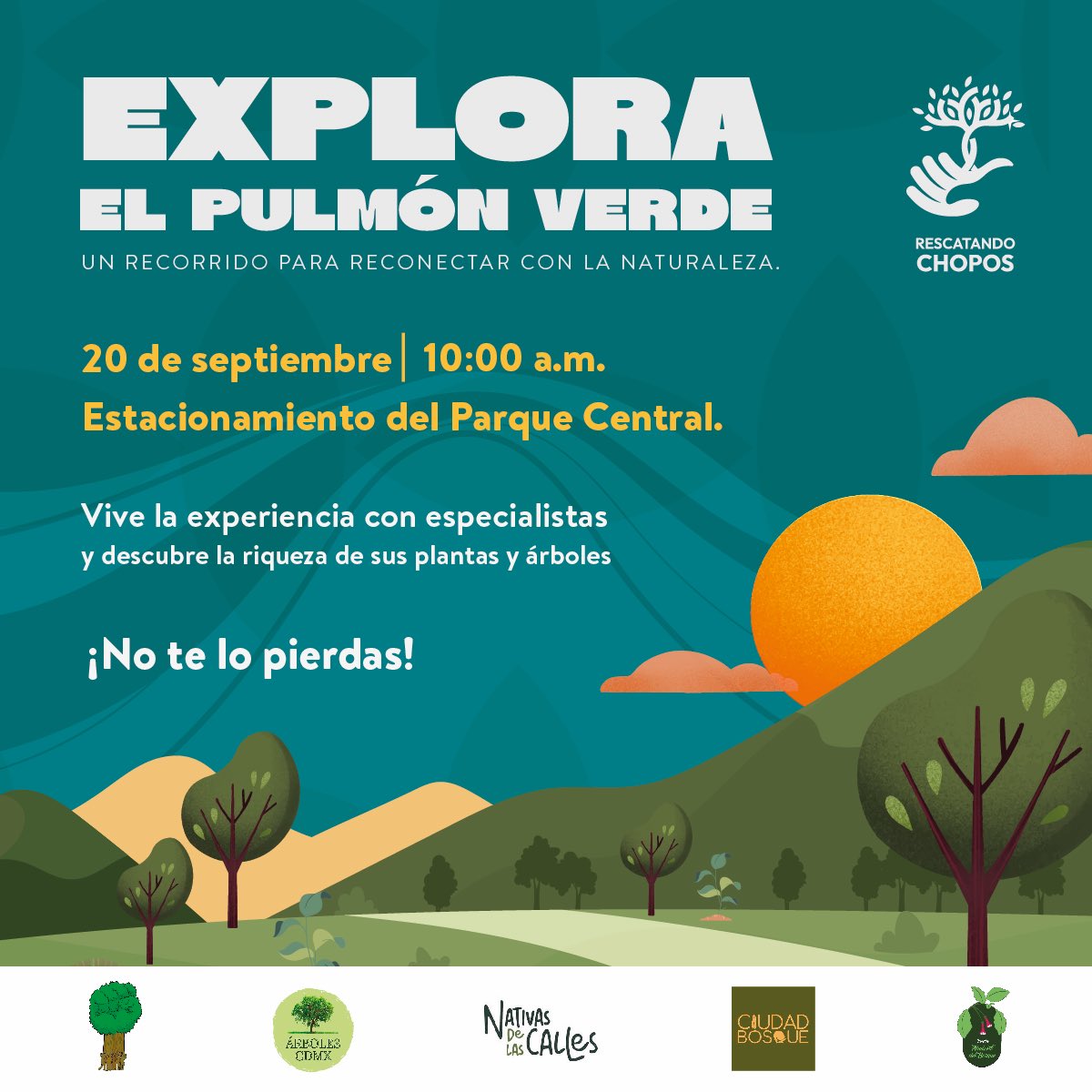 Explora el pulmón verde de Cuautitlán Izcalli.Este 20 de septiembre a las 10:00 a.m. acompáñanos en el Parque Central para reconectar con la naturaleza.Descubre la riqueza de nuestras plantas y árboles junto a <a href="/C_Ahuizotl/">Ahuizotl del bosque</a> <a href="/ciudadbosque/">CIUDAD BOSQUE</a> <a href="/arbolescdmx/">🍉 Árboles de la Ciudad de México 🍉</a> <a href="/nativascalles/">Nativas de las Calles</a> <a href="/ChaponerosCE/">Lomas Estrella Chaponeros 🇲🇽</a>