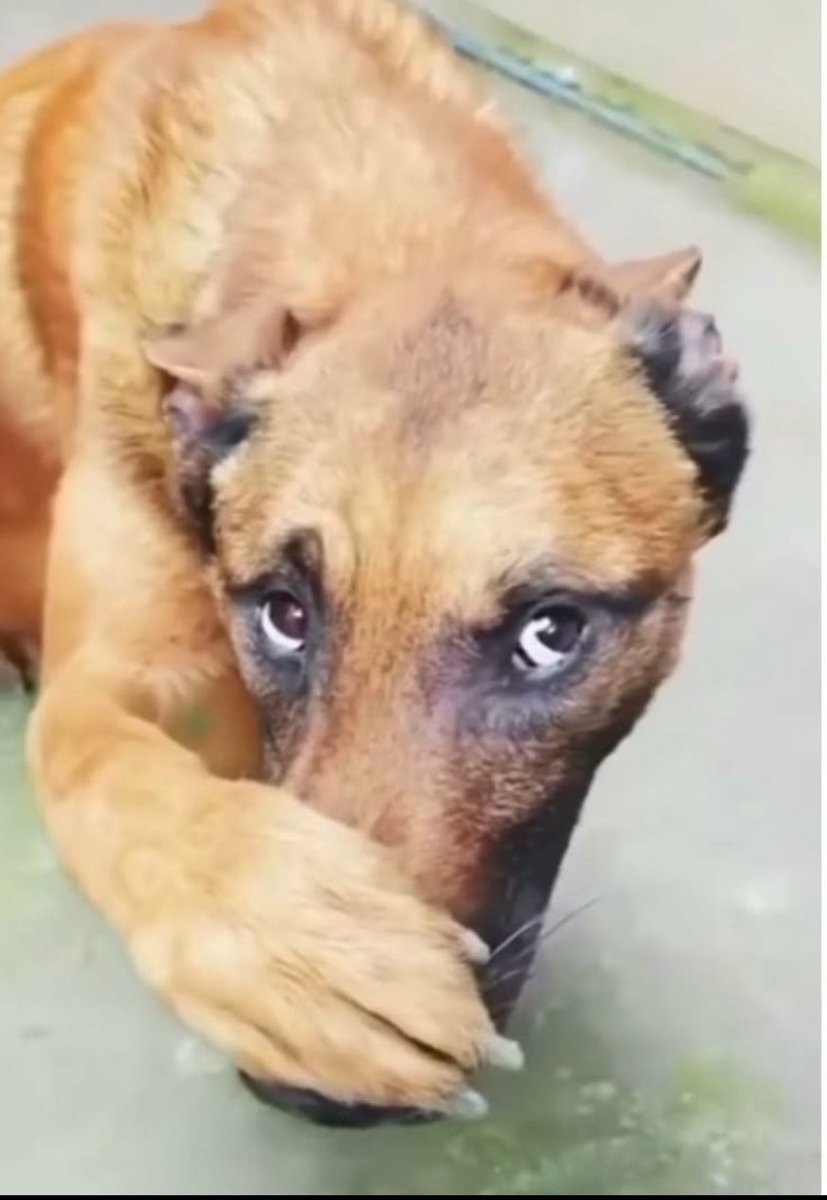 Barstool Crete tweet media