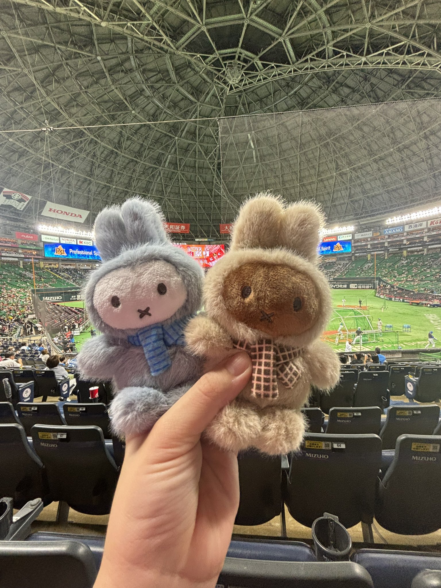 VIPO 台湾 限定 ミッフィー シークレット Vipo Miffy Macaron Series