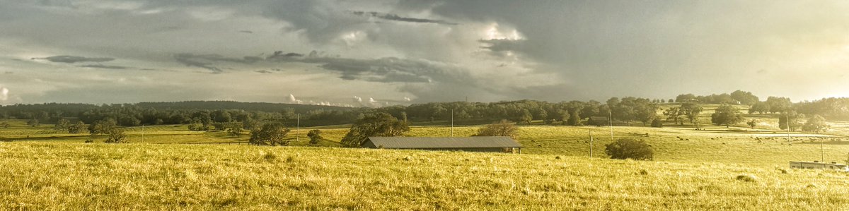 We can build a house at the farm, and this would be our view… or we can have a paved driveway. Can’t have both.