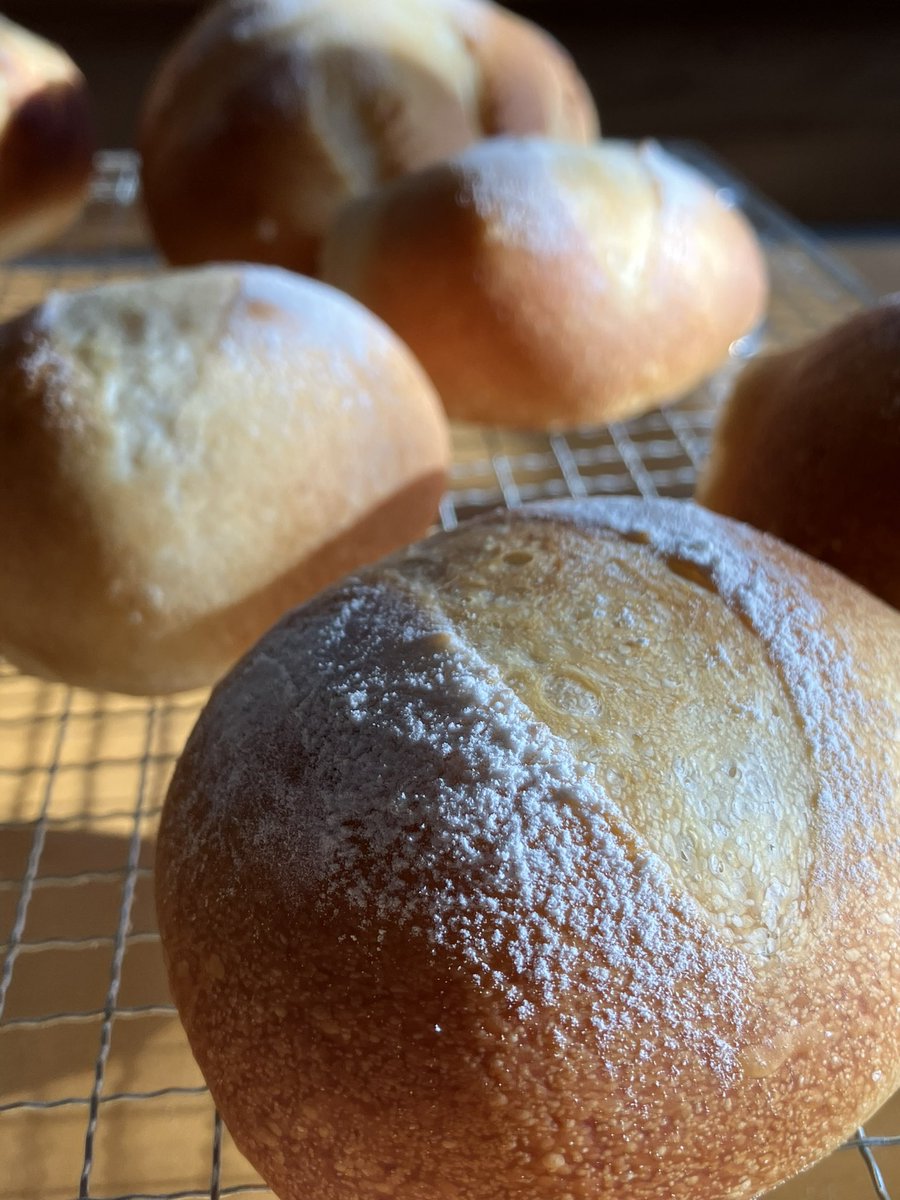 おはようございます🌞  本日はファーマーズにもち麦おやき、ソフトフランス、プチパン、琥珀糖（海カラー🐠 うめ、ぶどう🍇 オレンジ🍊 ）、プレーンシフォン、梅ジャム、パクチー、ローズマリー、後ほどブルーベリーパン追加予定になります。よろしくお願いします😃