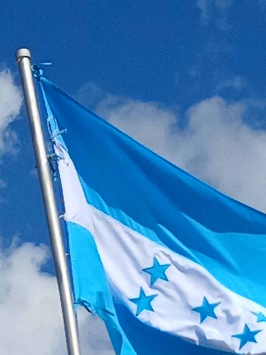 En varios edificios de la ciudad de Comayagua, aparece izado el pabellón Nacional pero irrespetuosamente al revés.
No menciono nombres  solo llamo la atenciòn a las autoridades para que se corrija esta falta.