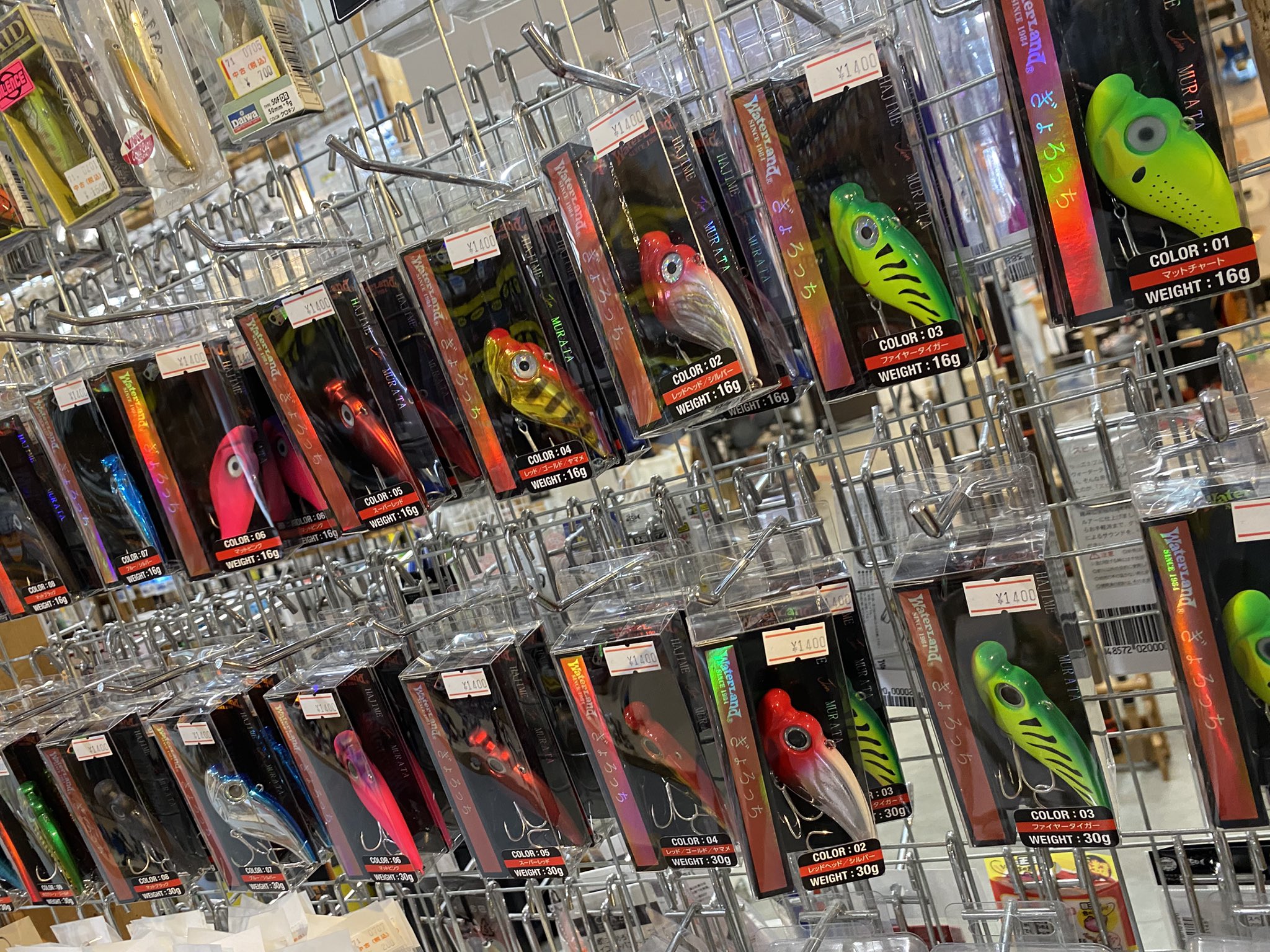 ぎょろっち - Search / X