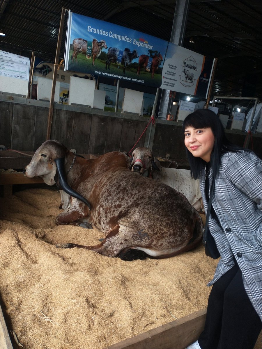 umadaniela's tweet image. Eu amo a época de #Expointer2025