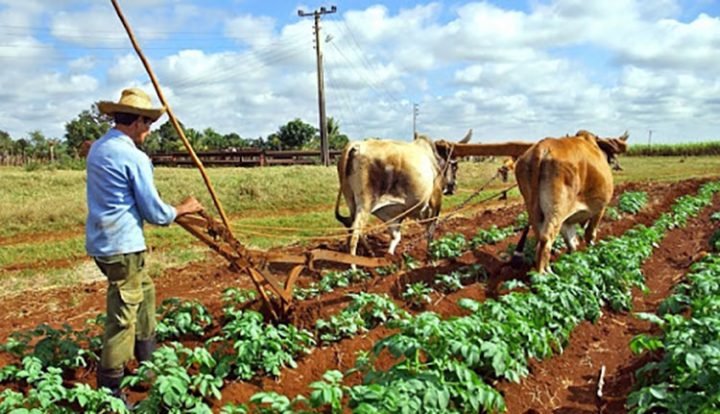 🇨🇺El Código de Trabajo de Cuba, es más derechos y más garantías. Al construirlo juntos, podemos afirmar, que #PorCubaJuntosCreamos  

#CódigoDeTrabajoCuba