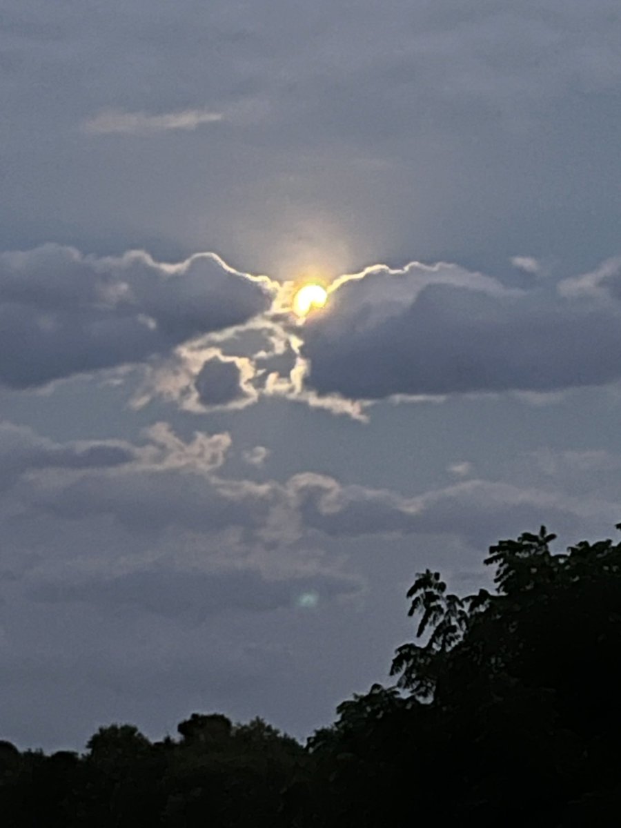 TimMoshier's tweet image. G’night