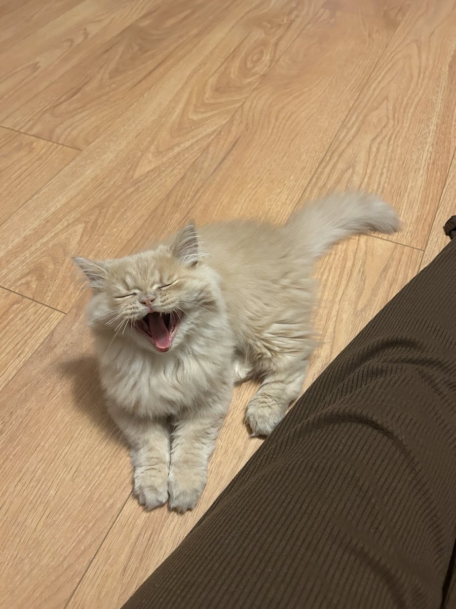 archiviste's tweet image. #Lately