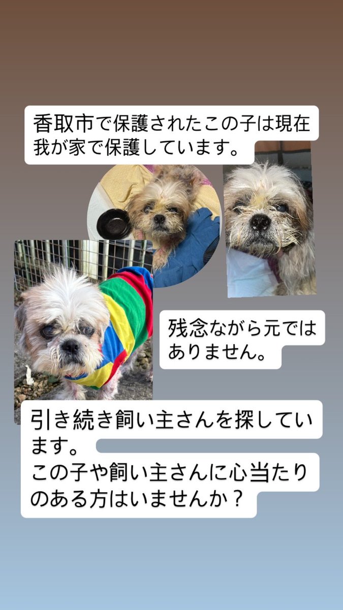 なおさん tweet media