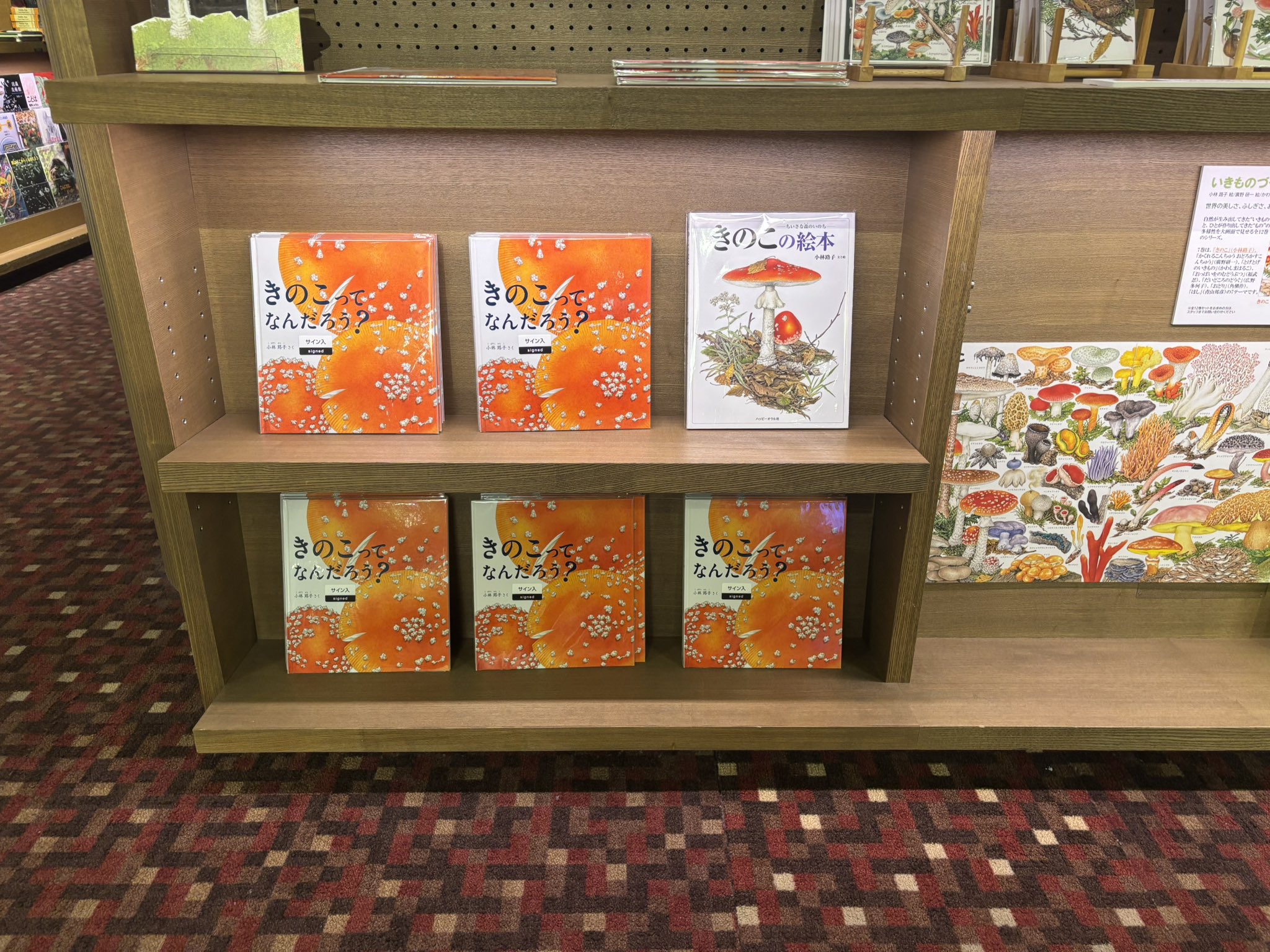 専用！福音館書店のみ　50冊まとめ売り 福音館書店 販売部 (@fukuinkanhanbai) / X