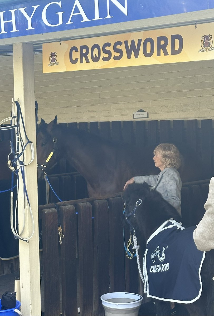Crossword the 33yo <a href="/TheValley/">Moonee Valley Racing Club</a> Shetland pony ambassador giving the <a href="/MelbourneCup/">The Lexus Melbourne Cup</a> winner Knight’s Choice some advice and upstaging him with his own name plate business card and rug - just simple stall 120 for the champ!