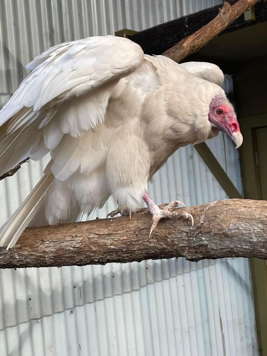 this is so cute and beautiful an angel wow wow