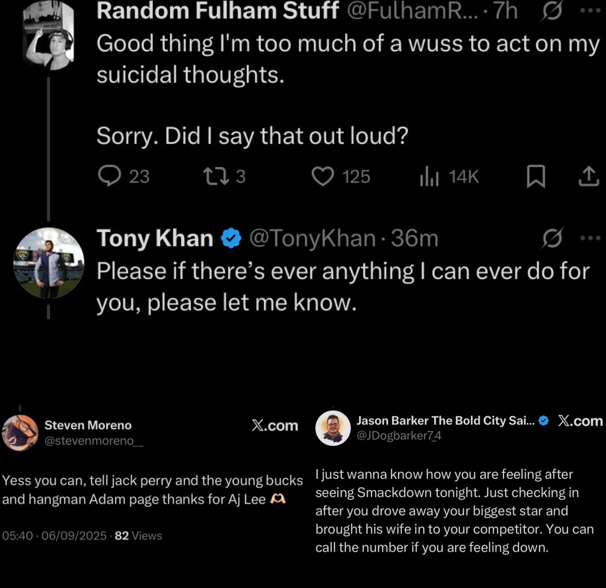 WWE fans never change being absolute freaks and giving the wrestling community a bad name