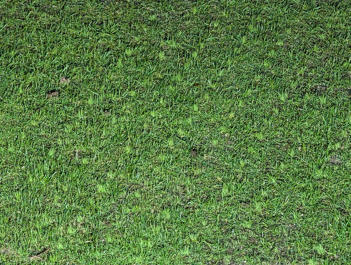 Kirkcaldy Greens Staff tweet media