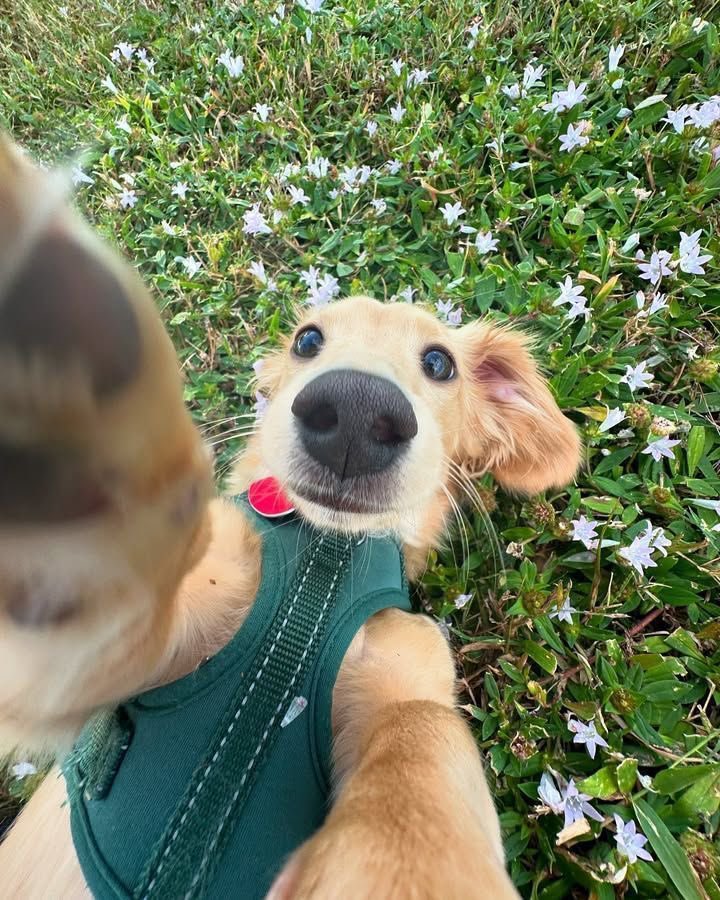 twaniimals's tweet image. 