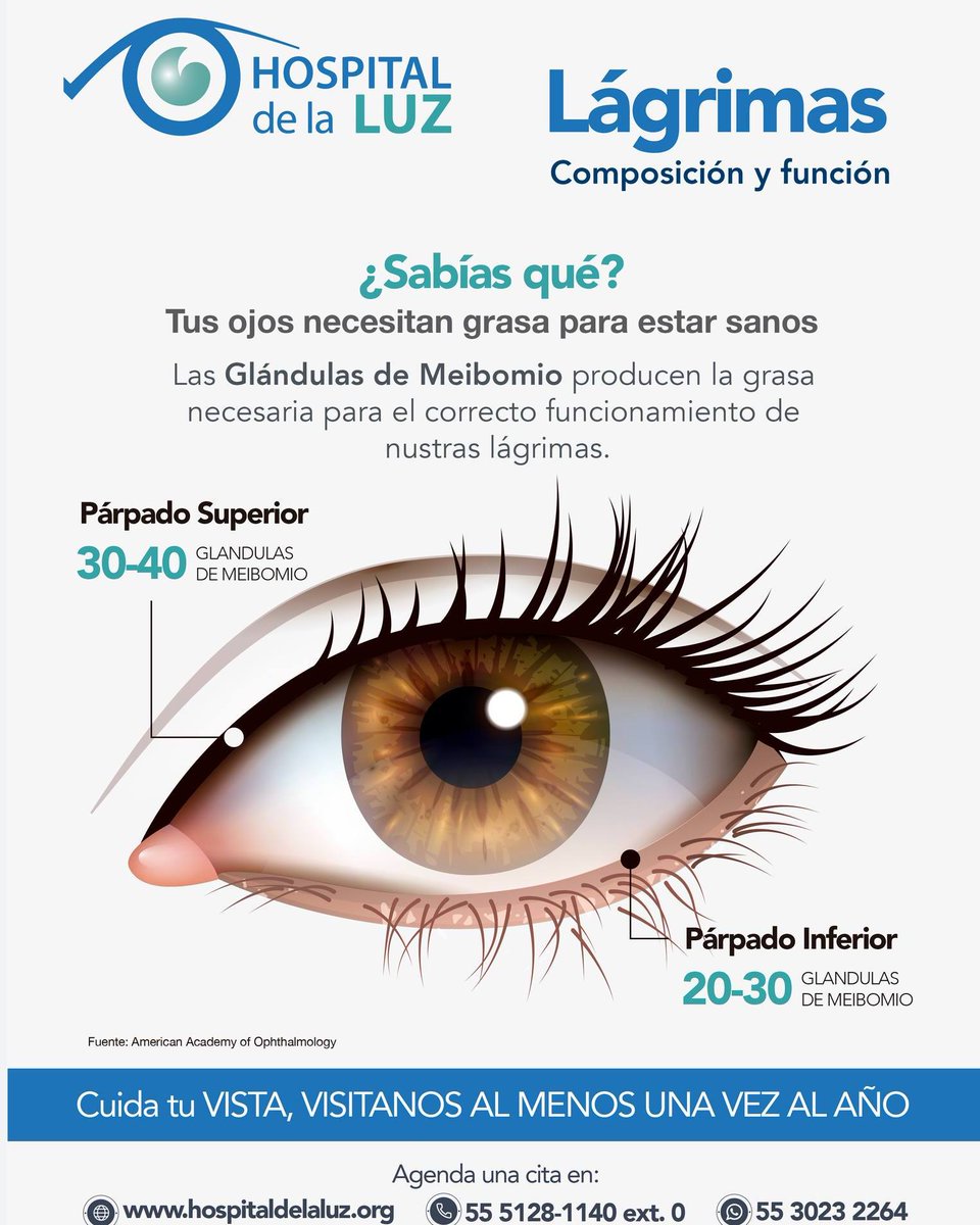 La importancia de las lágrimas

Las glándulas de Meibomio producen una secreción compuesta por sustancias, entre las que abundan diversos lípidos como fosfolípidos, triglicéridos y esteroles libres. Esta secreción forma parte de la película lagrimal y previene su evaporación.