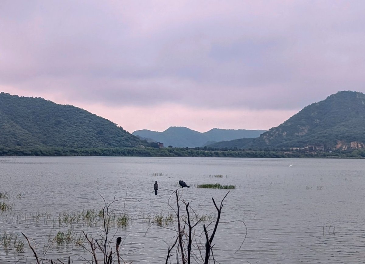 p1j's tweet image. Jaipur Mornings after a JoyPour
Awesome Mausam today #Jaipur #Pixelshot  with @sachinchatte