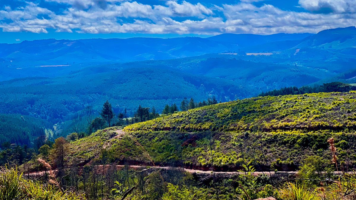 Experience the tranquil beauty of the Eastern Highlands, where Zimbabwe’s landscapes inspire business and adventure alike! Get ready as Manicaland welcomes Sanganai Hlanganani Kumbanayi Tourism Expo to Zimbabwe’s gateway to scenic beauty! 
📍Nyanga 
#ExperienceZimbabwe
#ZimBho👍