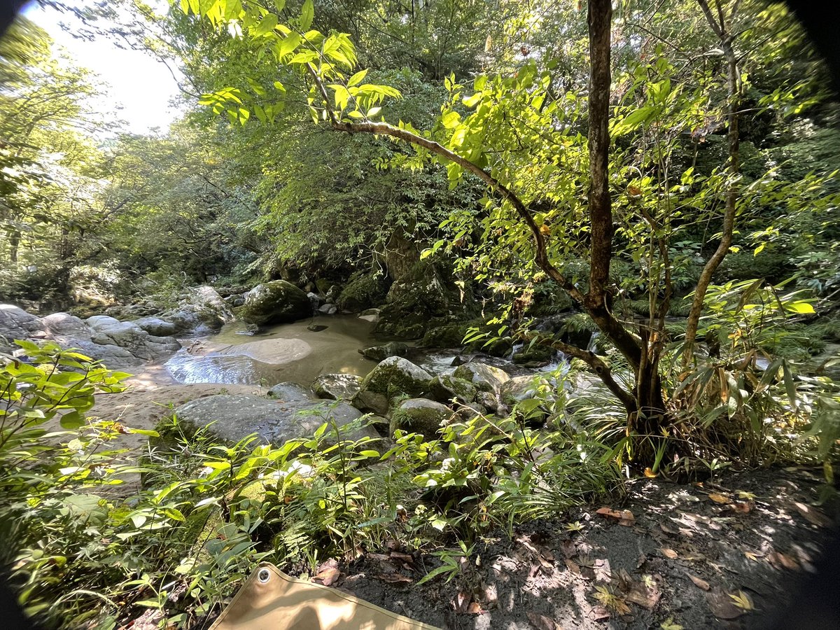 zalea39's tweet image. キャンプブームってほんとおさまったね
ごった返してたのに5組ぐらいしかいない