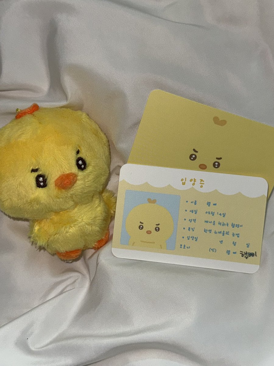 삐뭉치 입양 완료 ♡´･ᴗ･`♡ 
너무 코여워서 복복 긁어줘야만.. 🐥🐶

예쁘게 만들어주셔서 감사합니다아 ෆ ෆ 
<a href="/davichi_doll/">삐뭉치</a>