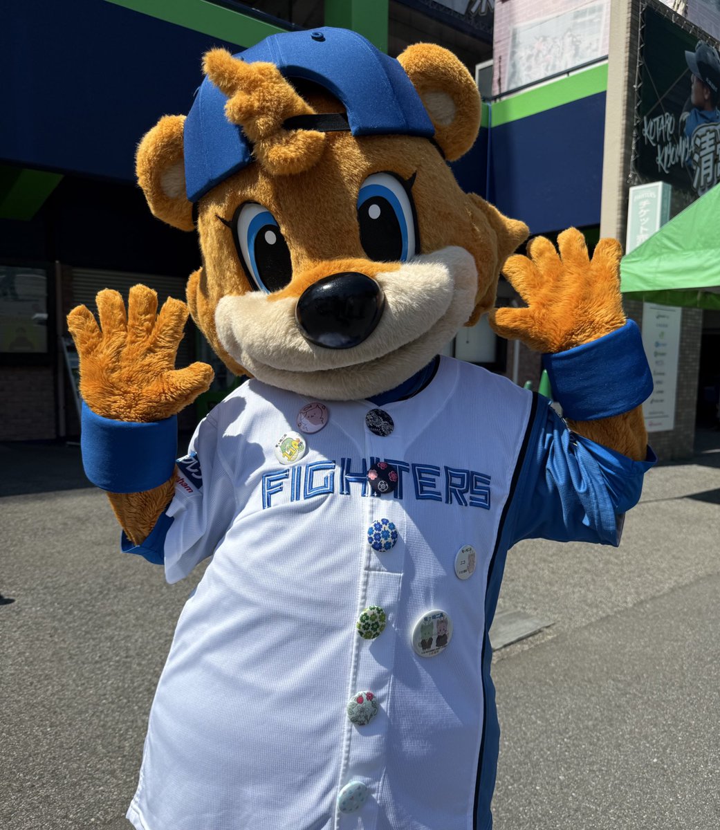 北海道日本ハムファイターズ　鎌ケ谷　2軍　スタジャン　野球 スタジアムジャンパー 北海道日本ハムファイターズ 鎌ケ谷 2軍 スタジャン 野球 スタジアム