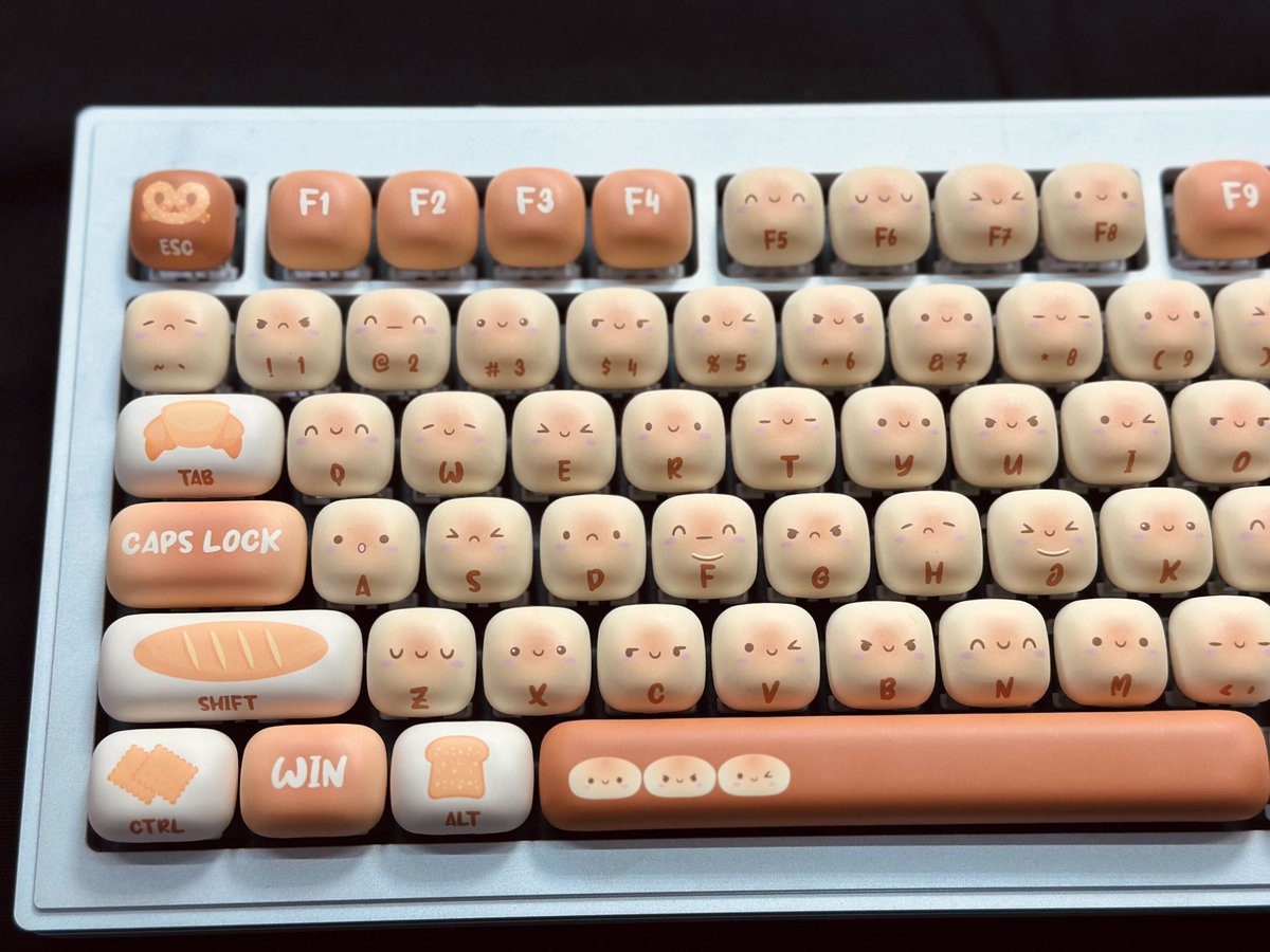 AkkoJP🇯🇵 (@AkkogearJP) / X