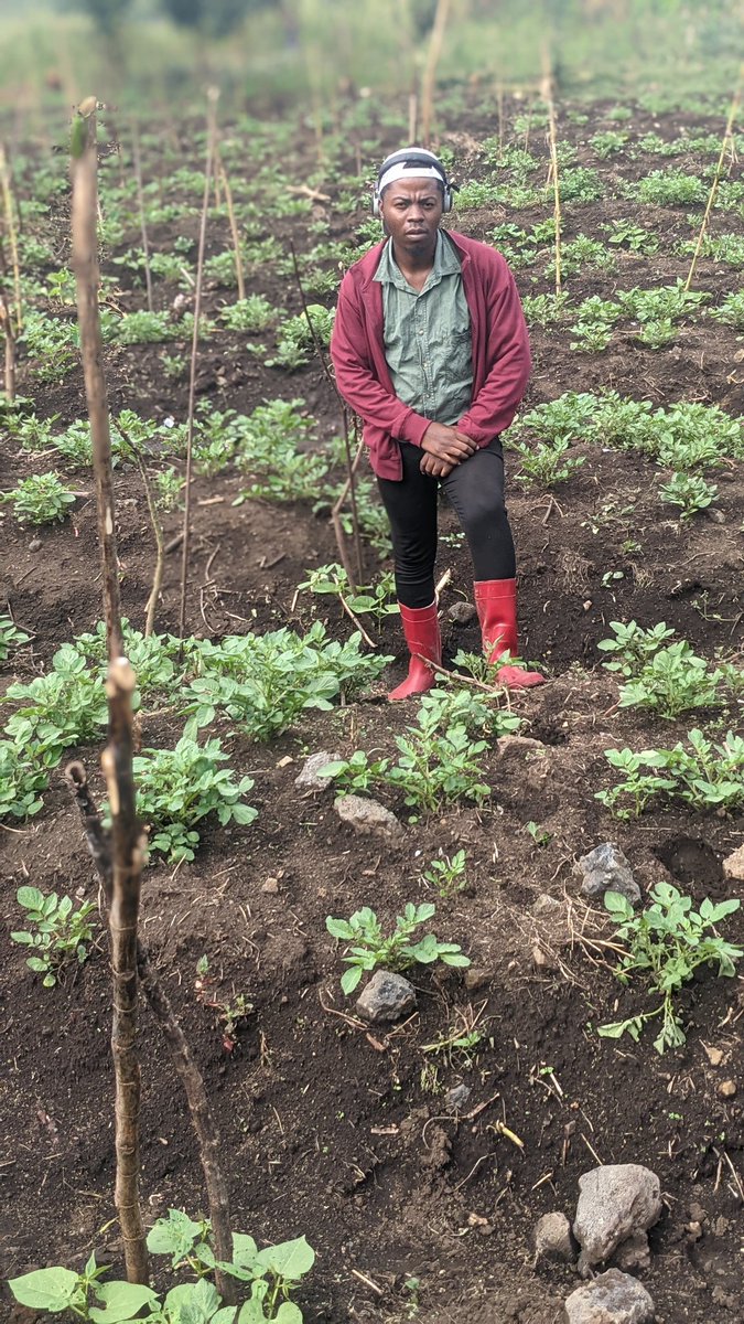 Hatujuwi itakuwa je lakini tuna Imani n'a aliyetowa 🙏

Good morning wakulima wote 🇨🇩