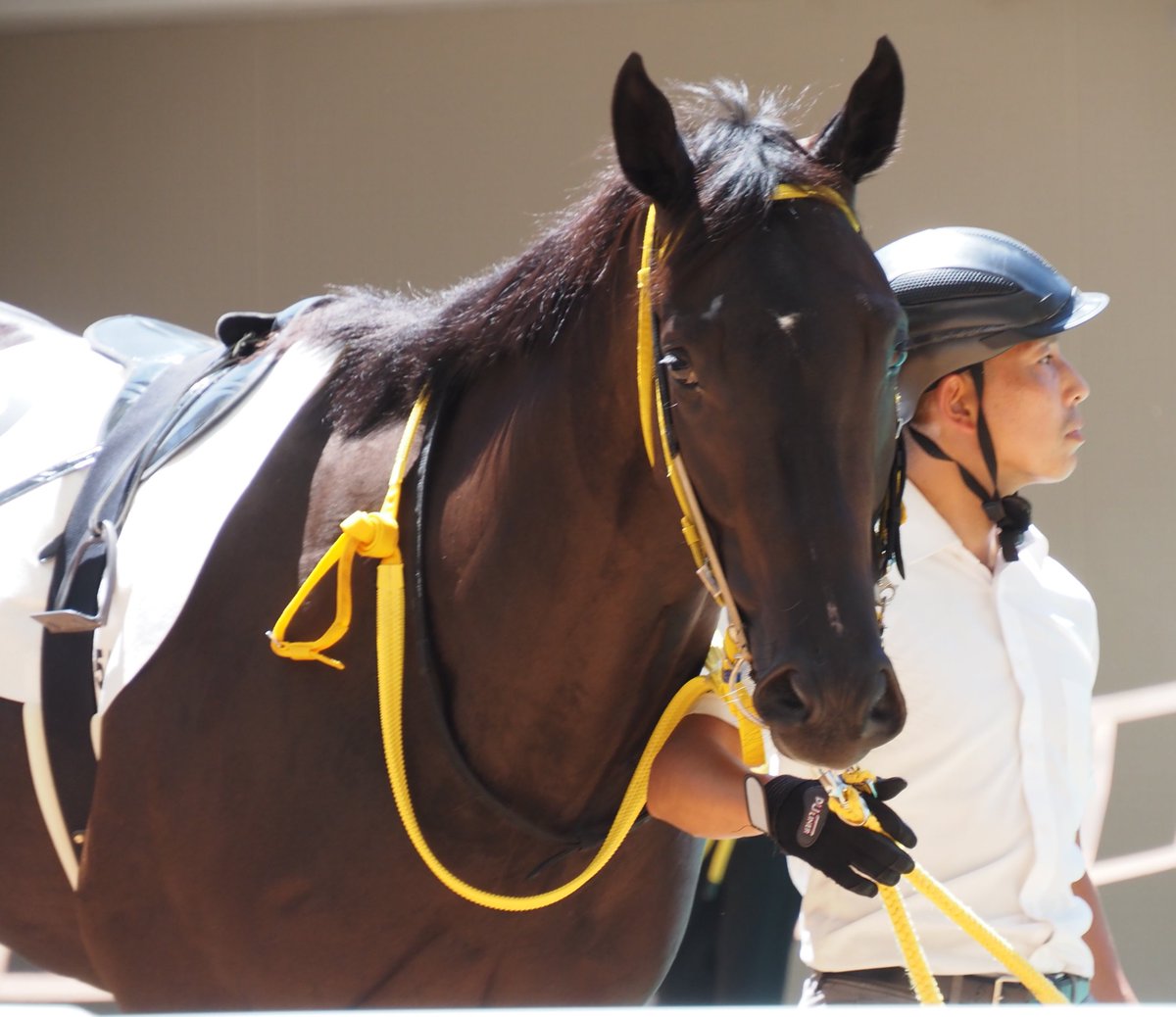 E3%83%95%E3%83%A9%E3%83%AF%E3%83%BC%E3%82%AB%E3%83%83%E3%83%97