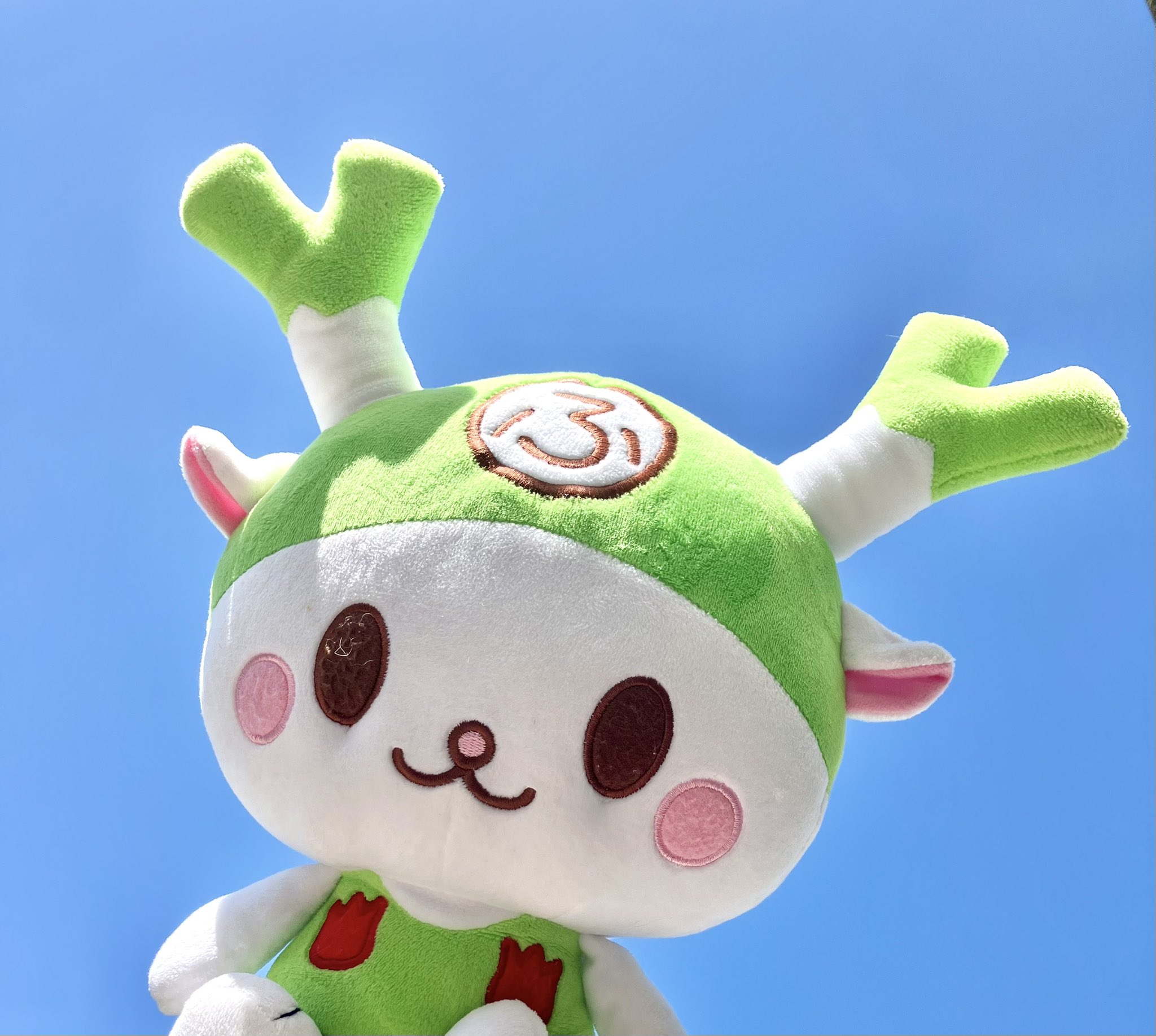 ふっかちゃんページです！2点セットアップ ふっかちゃんページです！2点セットアップ ふっかちゃんページ