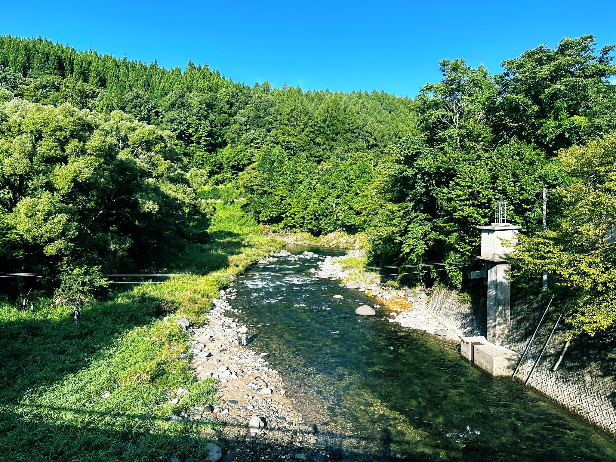 杉っぺ 杉っぺ (@34_barkley) / X