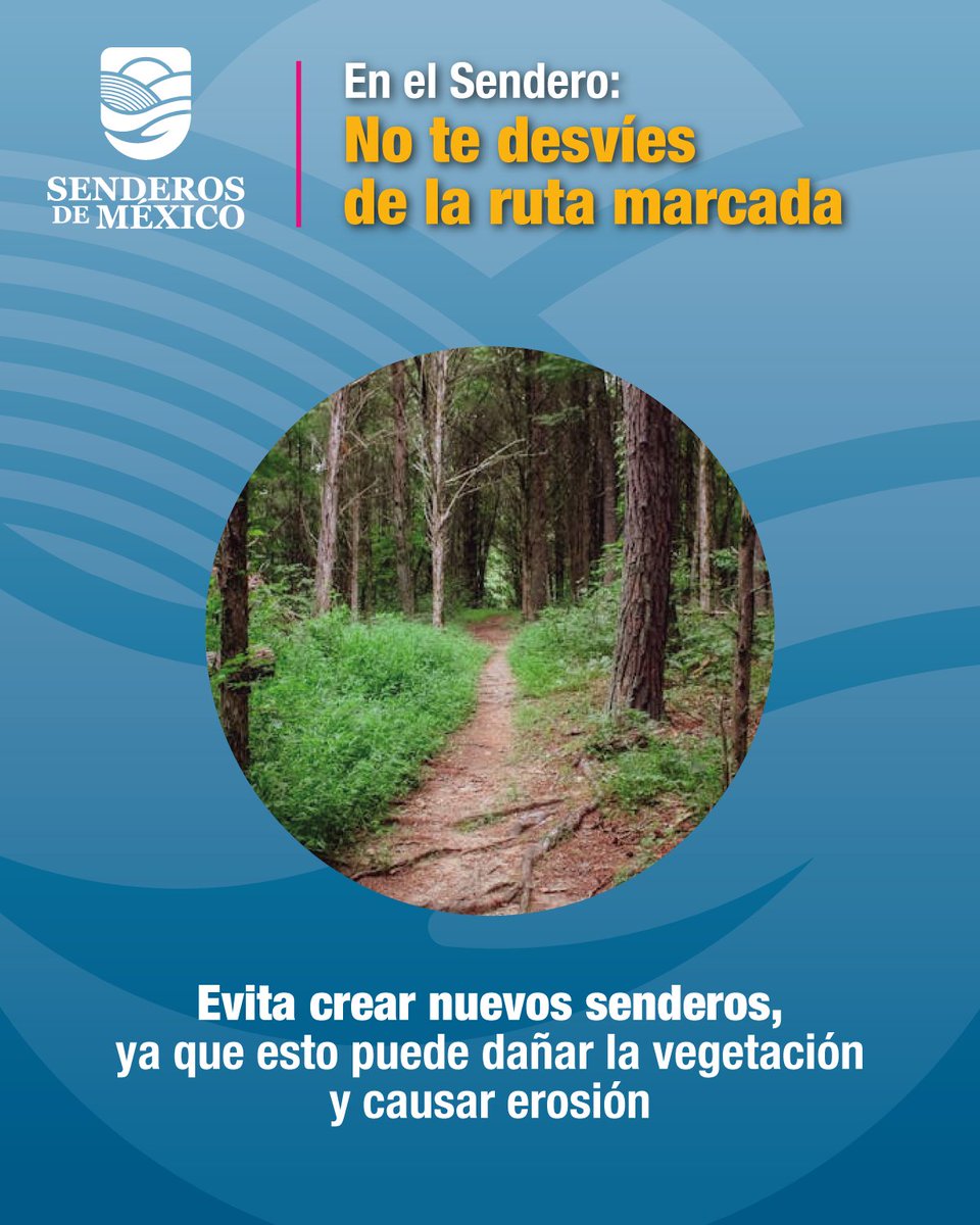 SenderosMx's tweet photo. En el #sendero...
No te desvíes de la ruta marcada:
Evita crear nuevos senderos, además de correr el peligro de perderte o molestar a la fauna, puedes dañar la vegetación y causar #erosión. ¡Sigue siempre los señalamientos y recuerda reportarnos cualquier daño en los senderos! https://t.co/bq7OyR8aQT