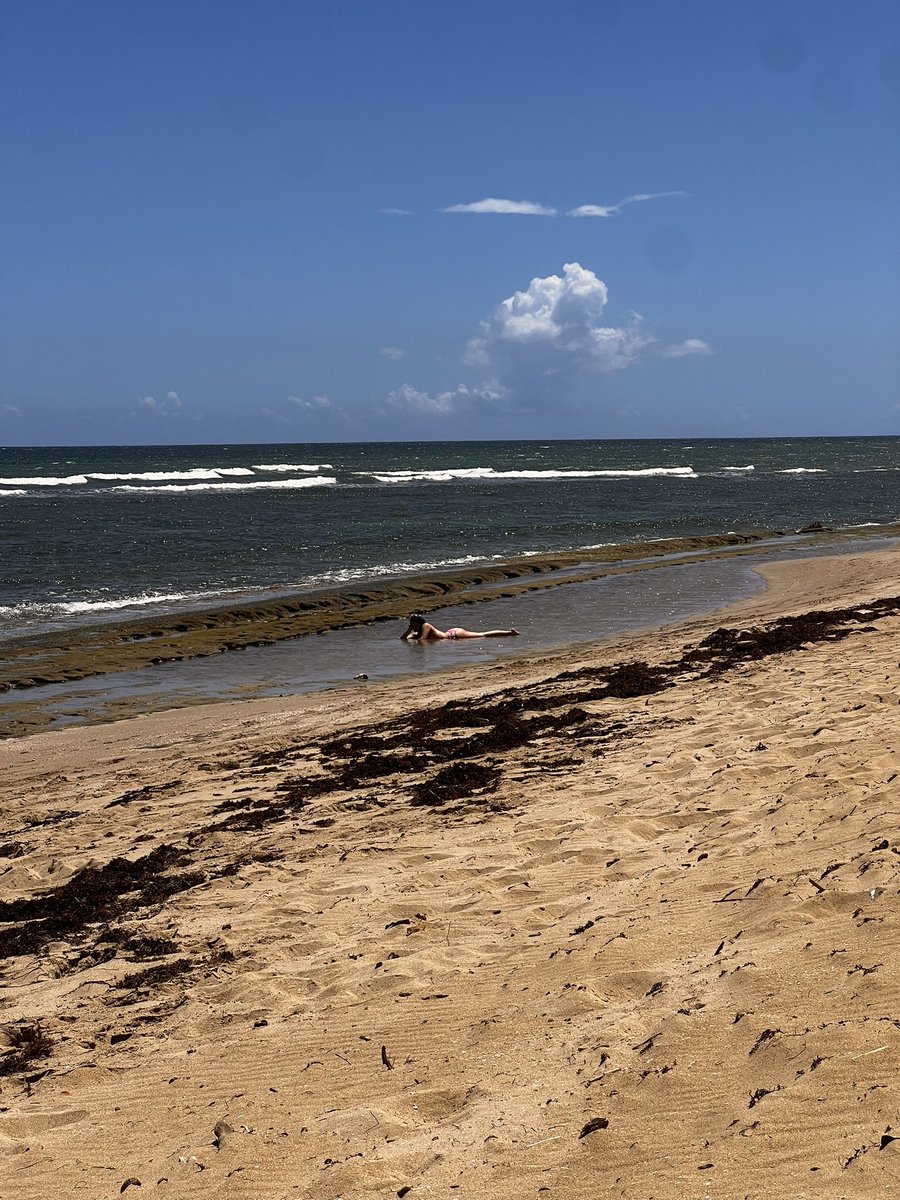 Pilar del Dragón tweet media