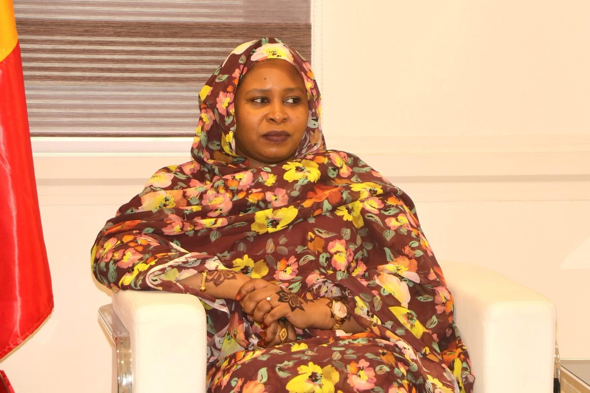 nassourt46's tweet photo. Honored to lead the CAETM delegation received by H.E. Fatimé Aldjineh Garfa, Deputy Minister of Foreign Affairs 🇹🇩.

We discussed the 6th Forum of Chadian Students of the Diaspora (Oct 23–26, 2025, N’Djamena) and the government’s support for diaspora initiatives. ✨

#CAETM https://t.co/BLJ8T4vakZ