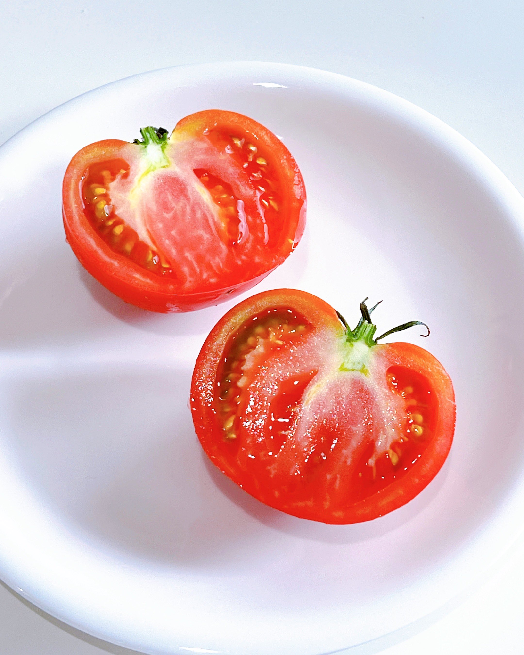 【 とまと…5月23日迄 】 Restarting with 300 berries! The Kinkanto Tomato Project is