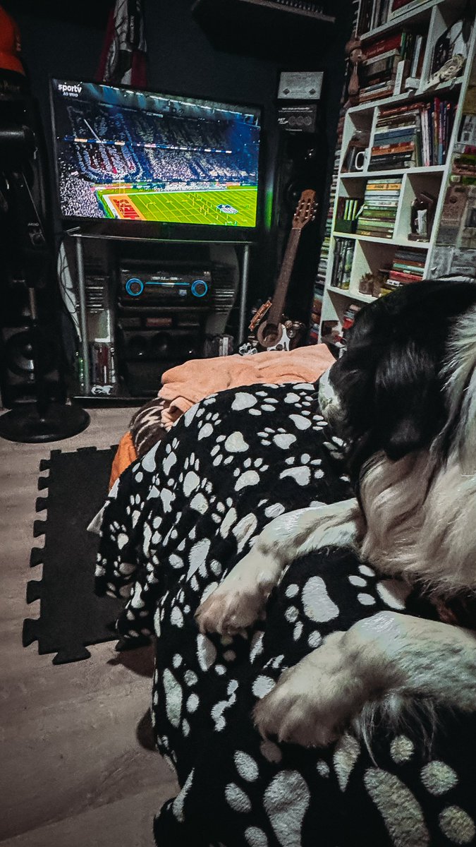 alineben's tweet photo. Bruce tá ligado na NFL! 
🇧🇷 é o país do football! #NFLnoSporTV https://t.co/P55tEB5nUW