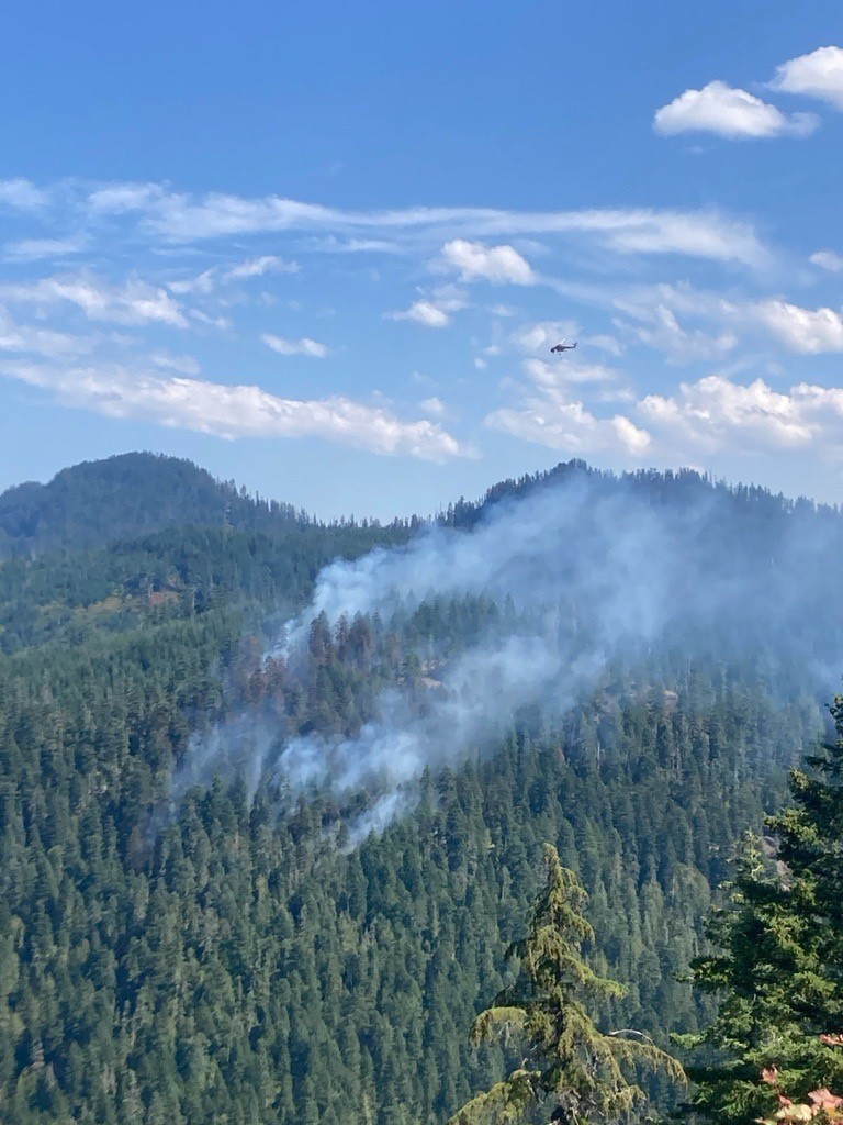 WillametteNatlForest tweet media