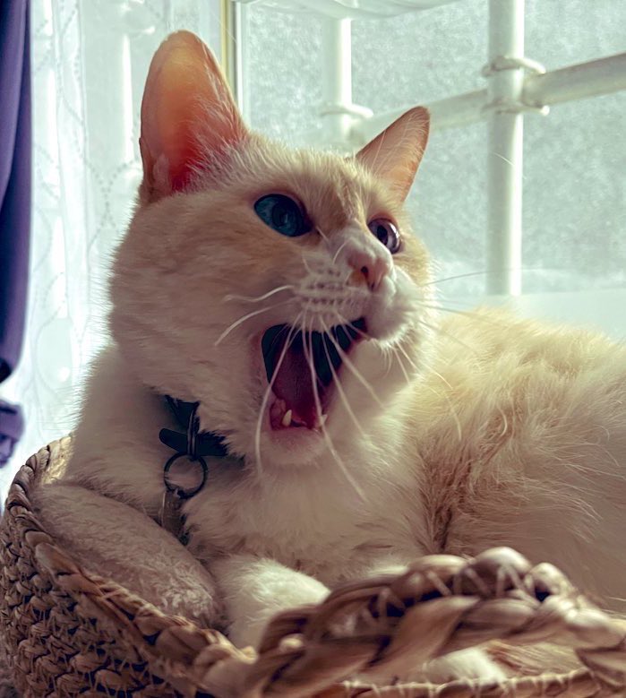 Mimami mía oi enpieza la ezcoela orta bes, ai q esharle poras (onqe yaste biekita)
Biba, biba!! 📖📚