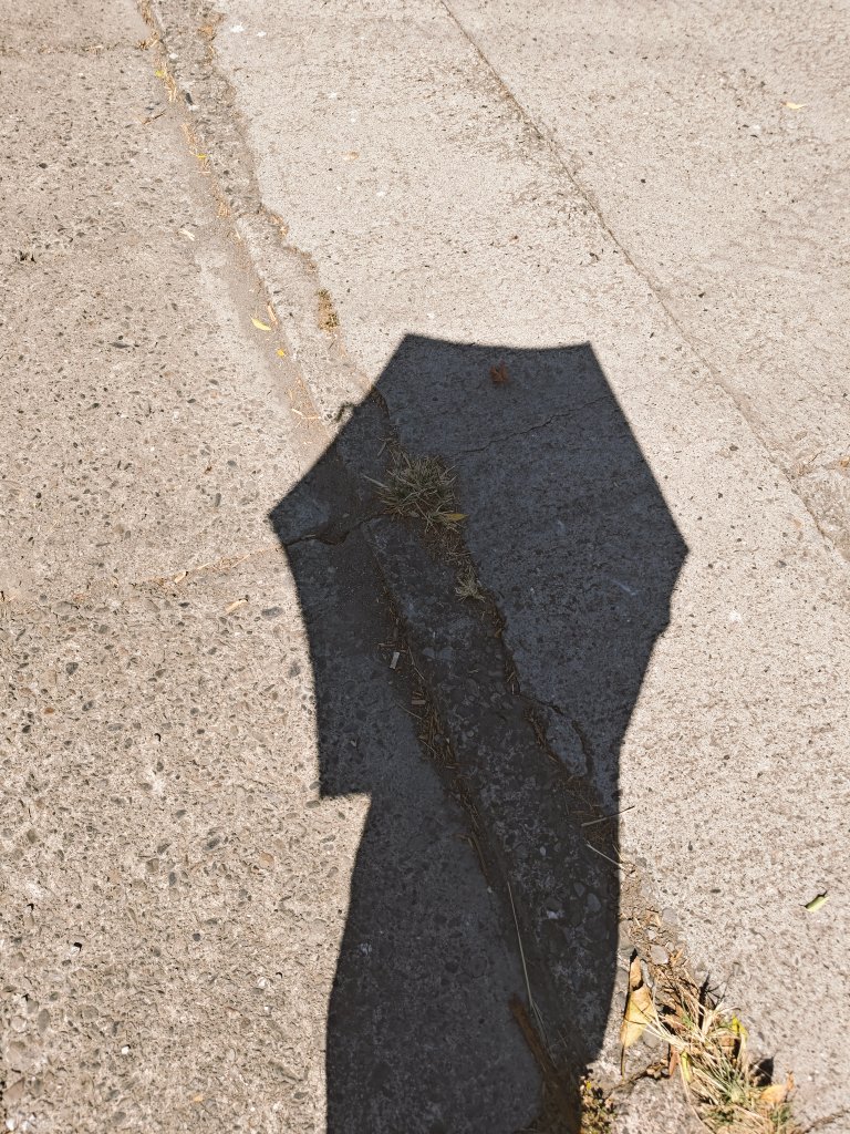 又一價值觀改變…
回到鄉下剛要出門幫忙買蛋
看著外面的太陽…
我直接轉頭回房間
從我的包包掏出隨身攜帶的
lawsonXcoleman 合作摺疊傘
遮光率99.9%！ 哈哈~我完了！