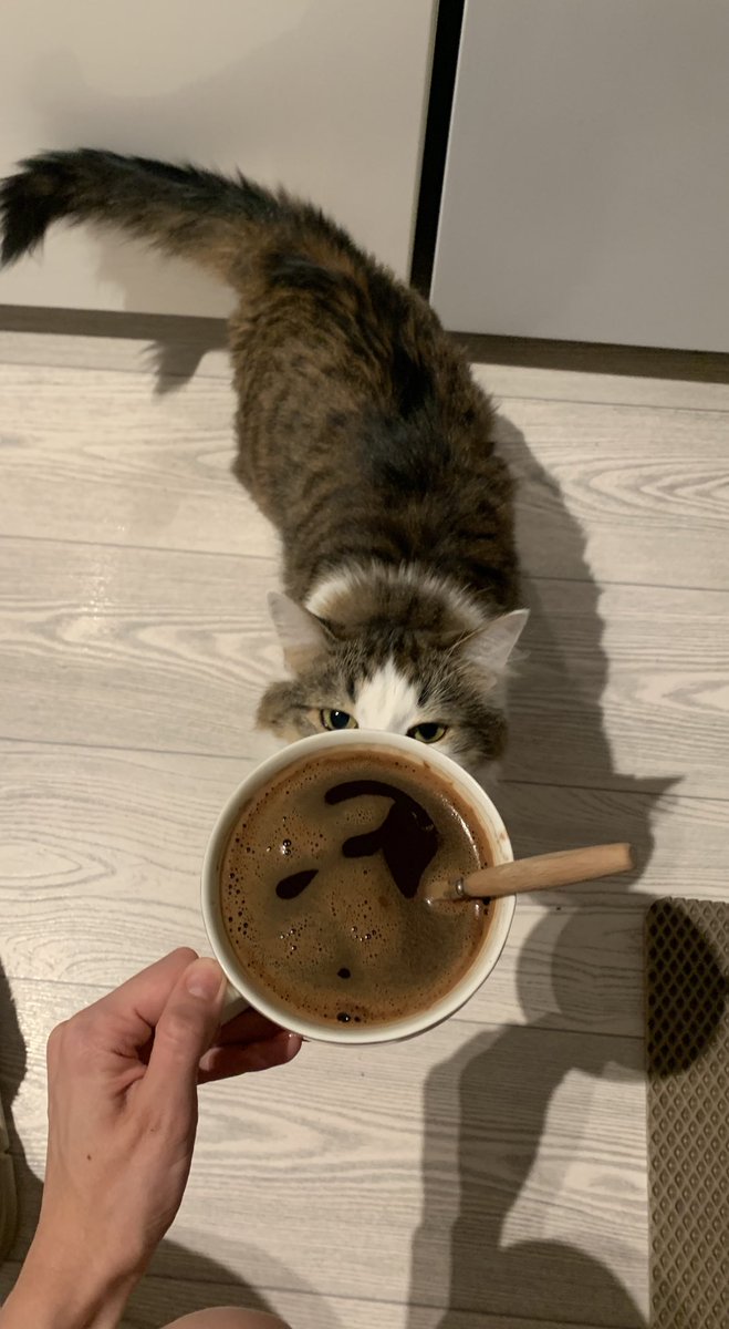 5 утра,у меня ютьюб и кофе со вкусом чили