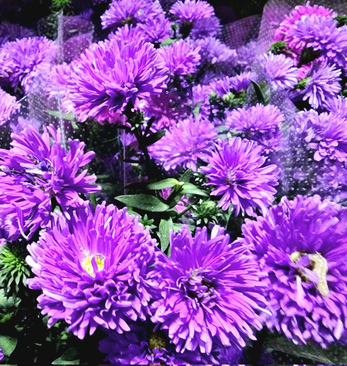 久しぶりの土曜日のお休み😀

午前中は自分の用事をしています

台風一過で晴天だけど
今日はまた暑くなる予報です

季節の変わり目体調管理しっかりと

素敵な週末をお過ごしください🤗